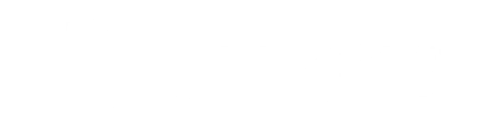 Carry Bag BD